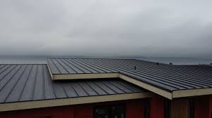 Best Steel Roofing  in Hamburg, NJ